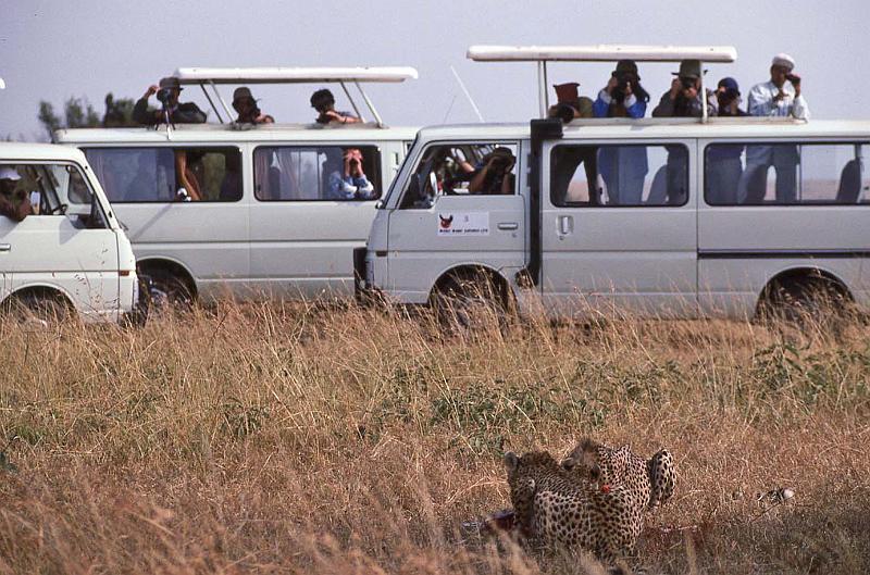 WT 1400 201-04 Kenya.jpg